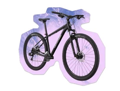 BICICLETAS